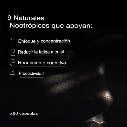 ZZEN Focus – Mente On Fire